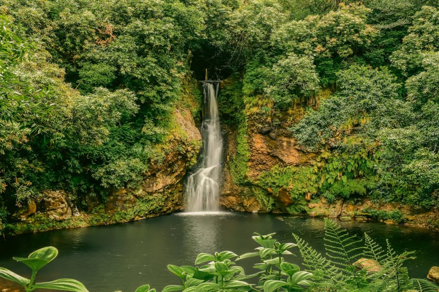 Family Adventure | Waterfall Zipline
