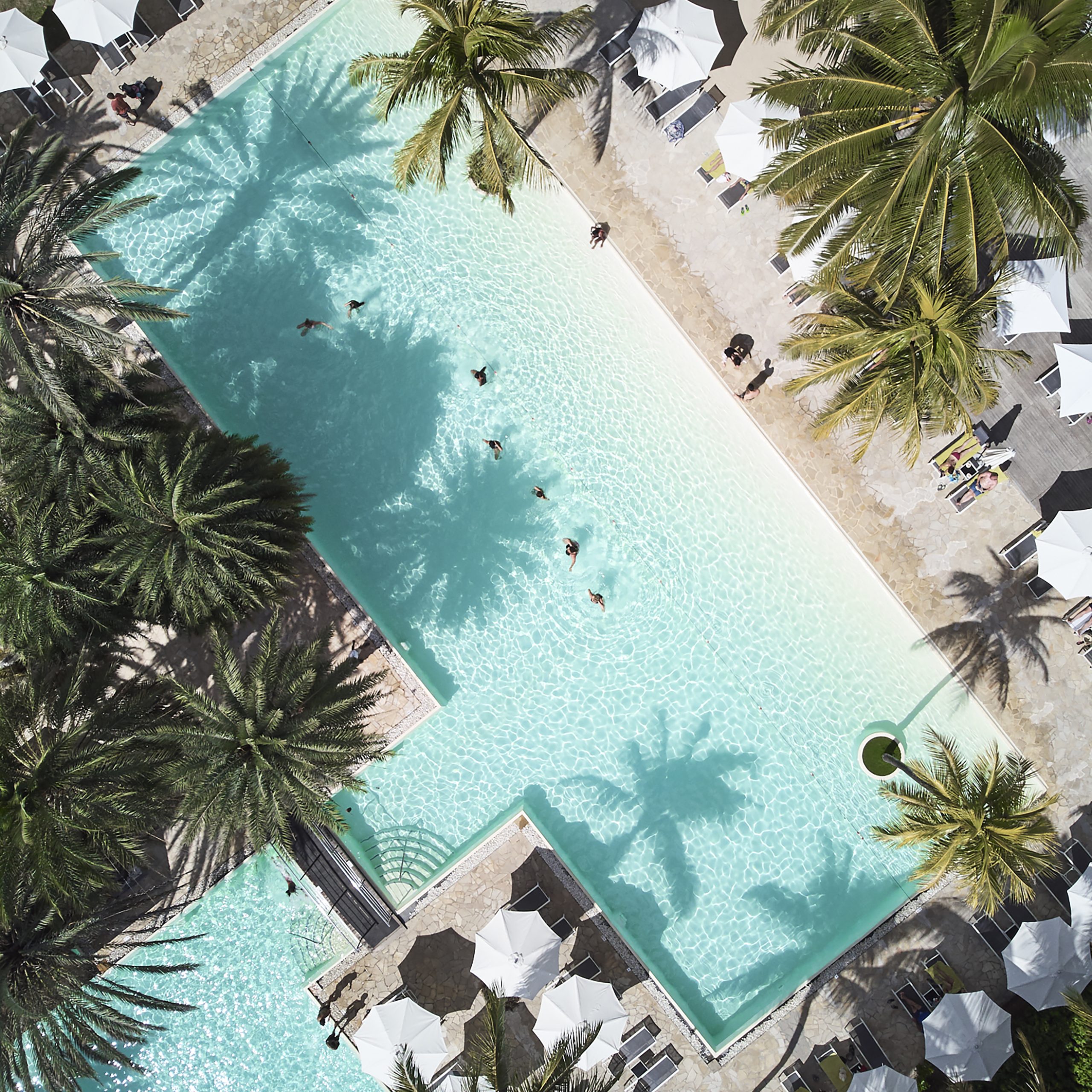 The Ravenala Attitude