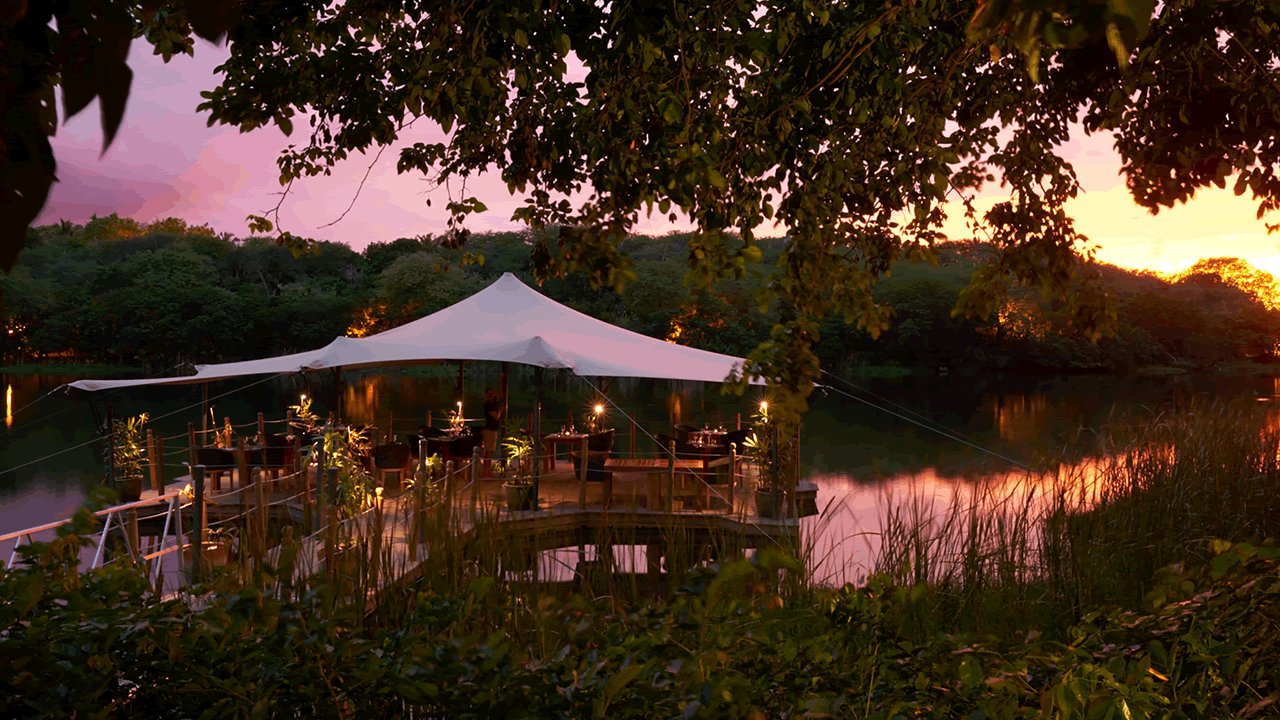 The Ravenala Attitude