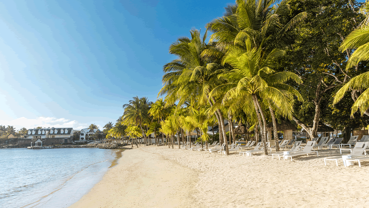 The Ravenala Attitude