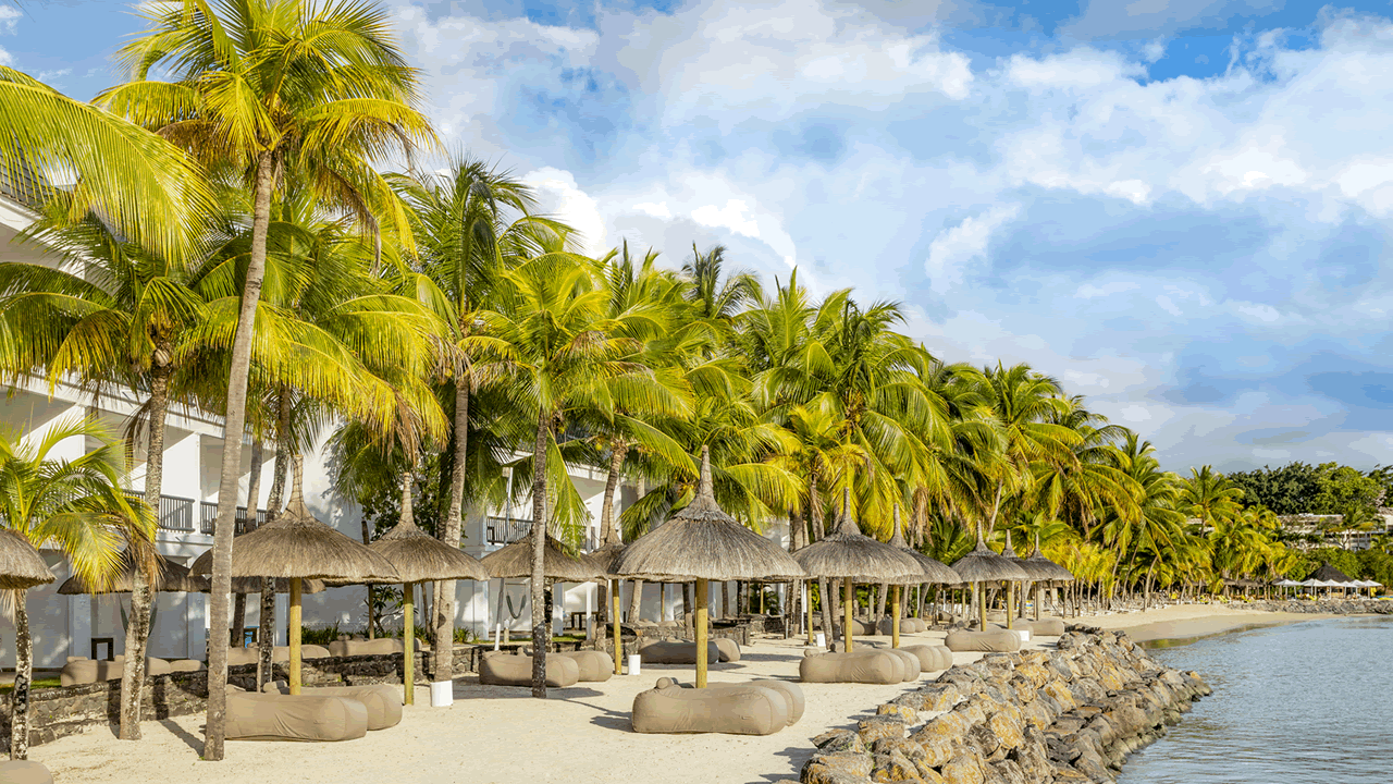 The Ravenala Attitude