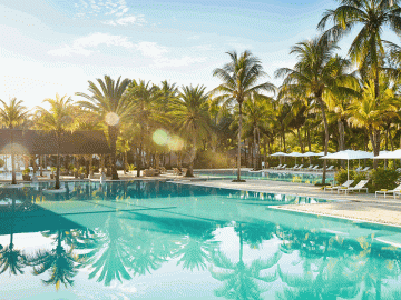 The Ravenala Attitude