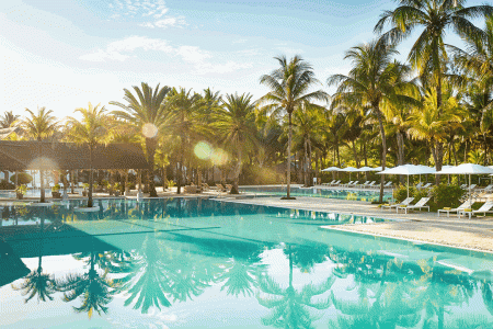 The Ravenala Attitude