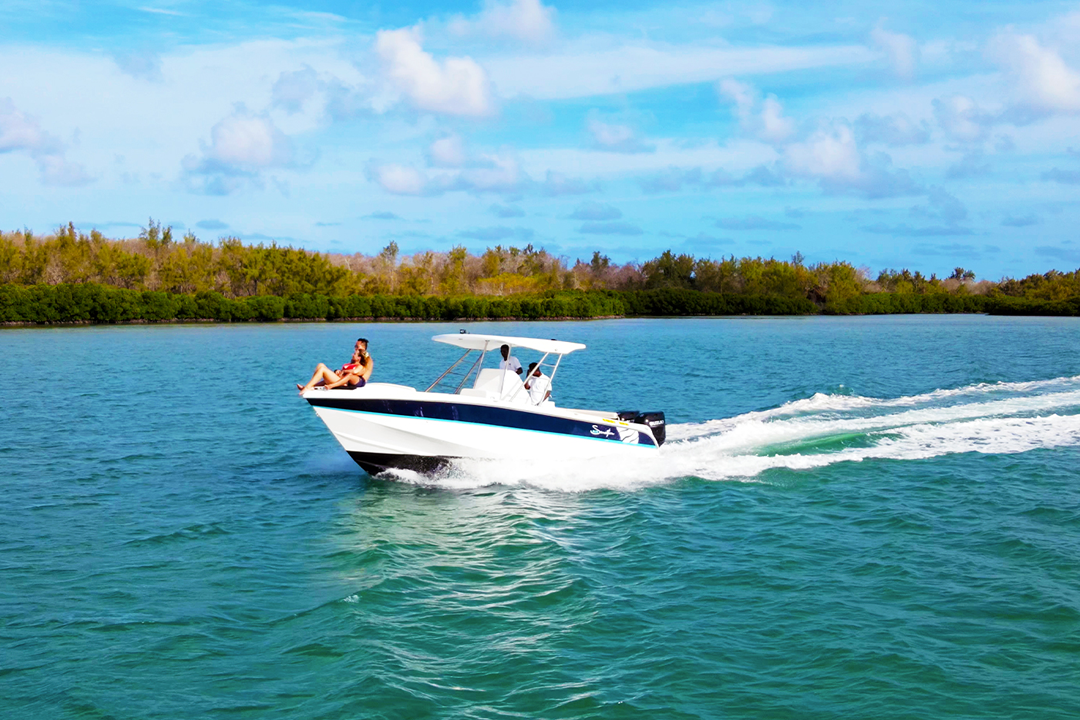 Blue Safari | Dolphin Watching – Speed Boat Trip (Private)