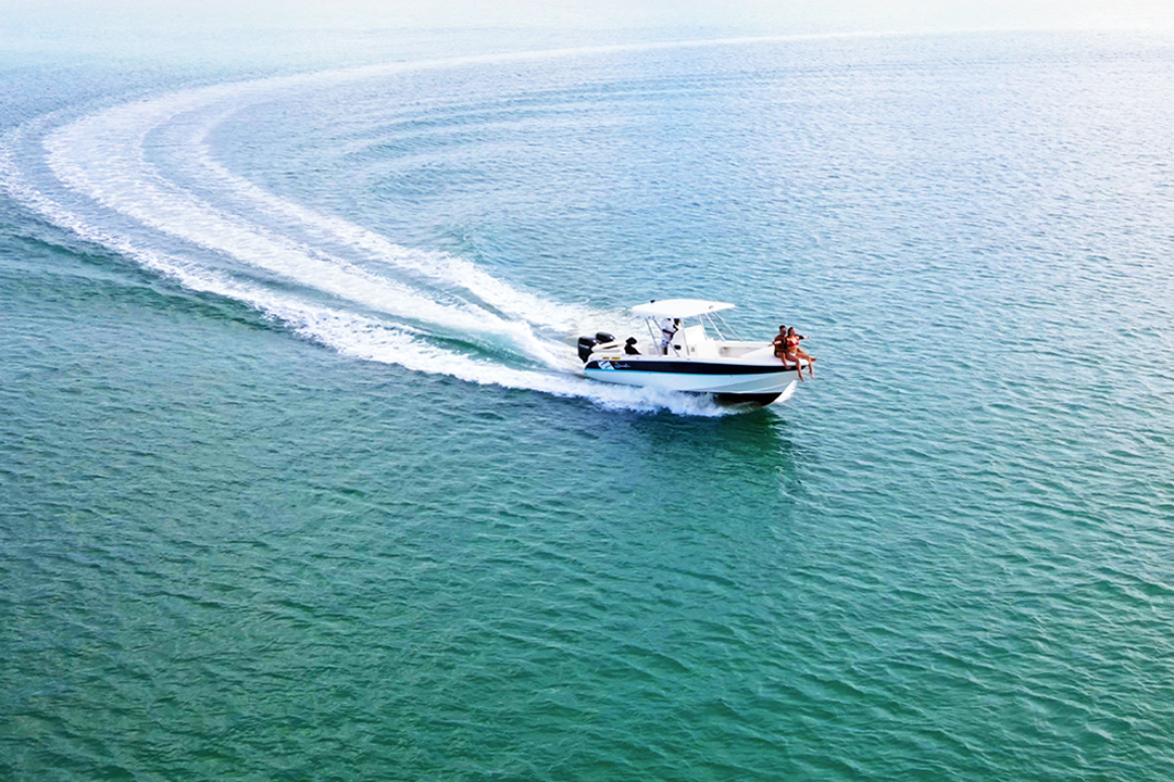 Blue Safari | Dolphin Watching – Speed Boat Trip (Private)