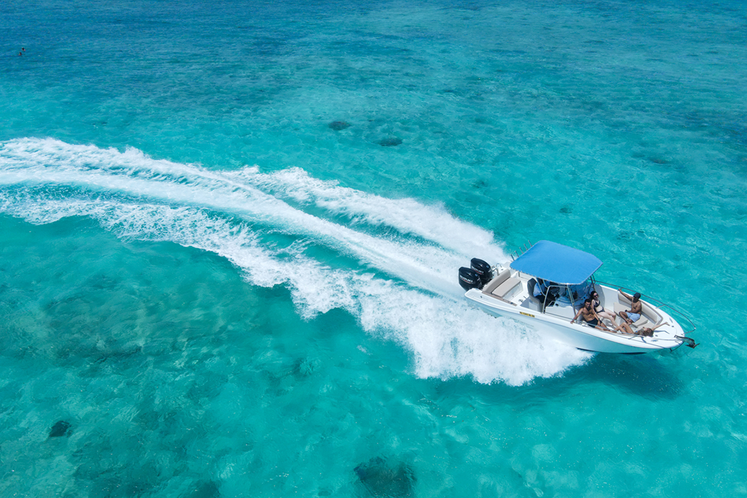 Blue Safari | Dolphin Watching – Speed Boat Trip (Private)