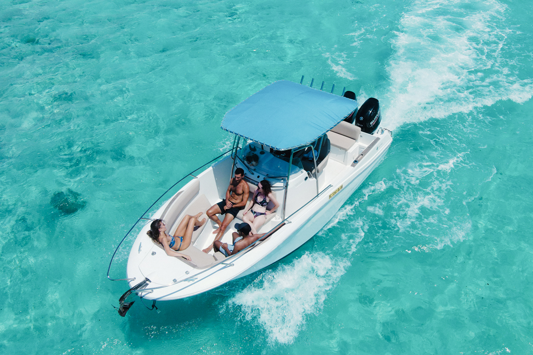 Blue Safari | Dolphin Watching – Speed Boat Trip (Private)