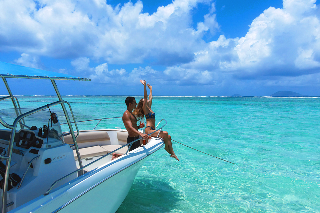 Blue Safari | Dolphin Watching – Speed Boat Trip (Private)
