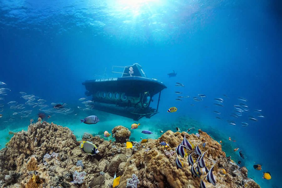 Defideal Submarine