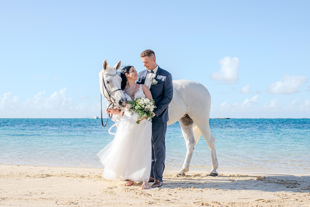 Legasea Stables Mauritius