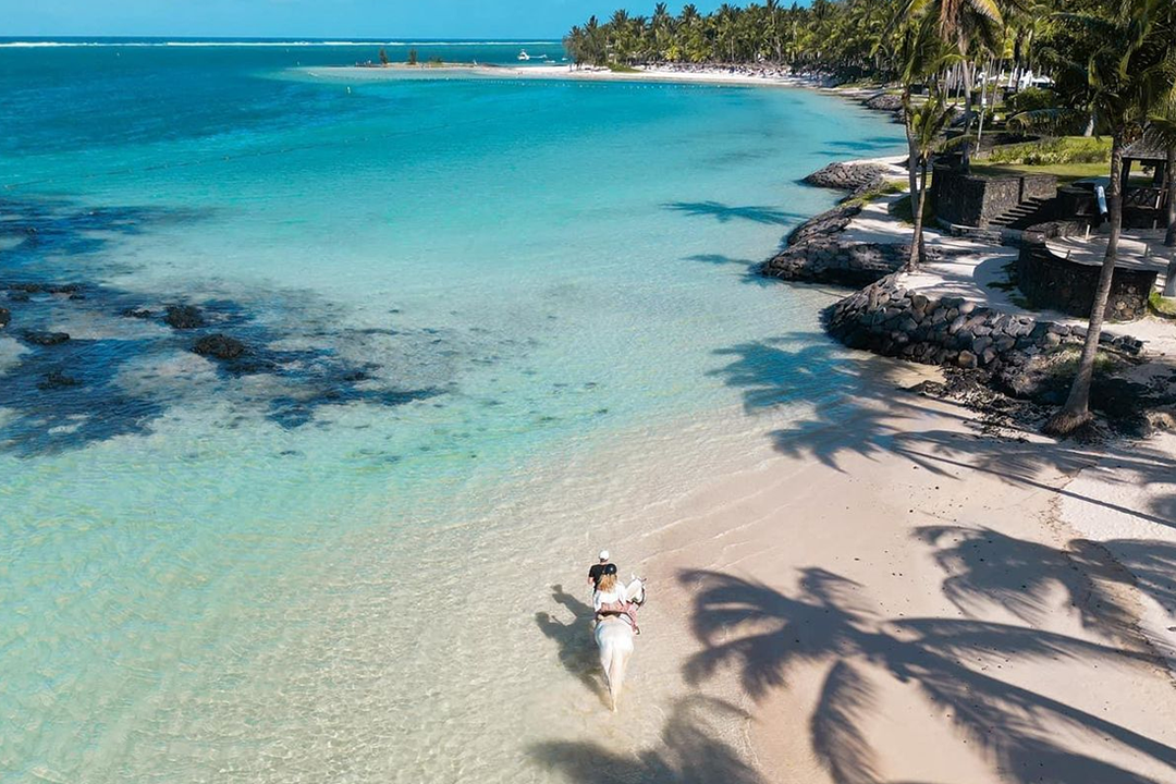 Legasea Stables Mauritius