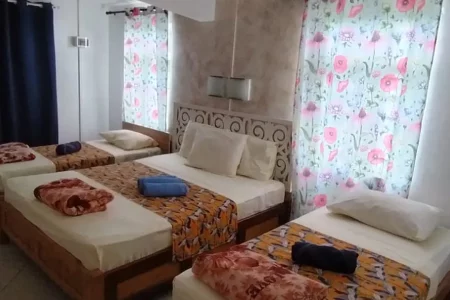Oasis Vacances Guesthouse – Rodrigues — Half board + 1 full day tour + Île aux Cocos (with lunch) — 4–6 Pax