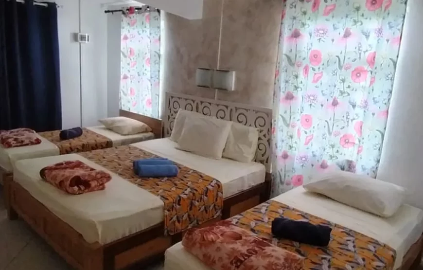 Oasis Vacances Guesthouse – Rodrigues — Half board + 2 full day tours — 7–10 Pax